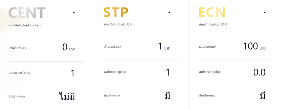 Doo Prime ประเภทบัญชี